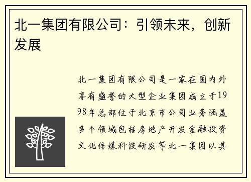 北一集团有限公司：引领未来，创新发展